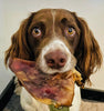 Pigs Ears - Sold Individually - PetBuddy