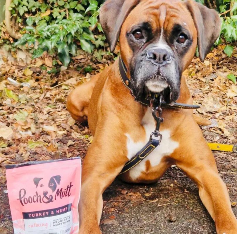 Pooch & Mutt Turkey & Hemp dog treats containing probiotics, perfect little soft training treats.