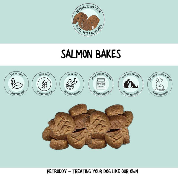 Salmon Bakes Dog Treats from PetBuddy