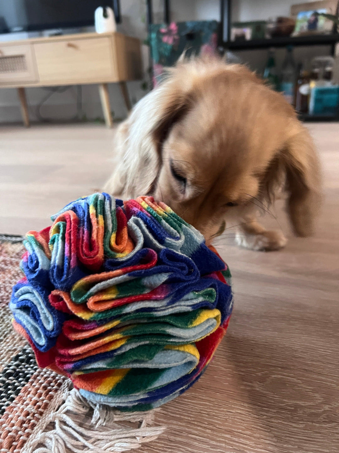 Snuffle Ball - PetBuddy