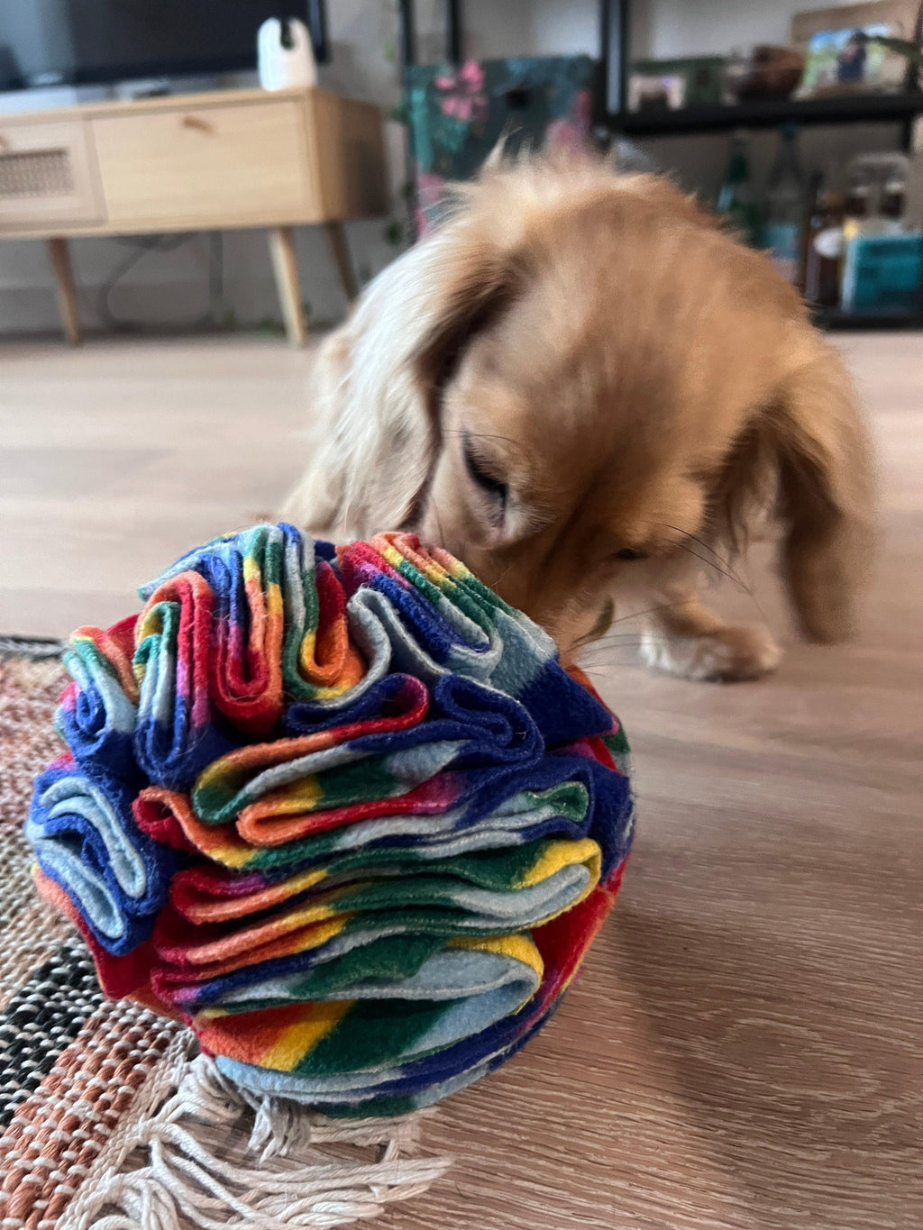 Snuffle Ball - PetBuddy