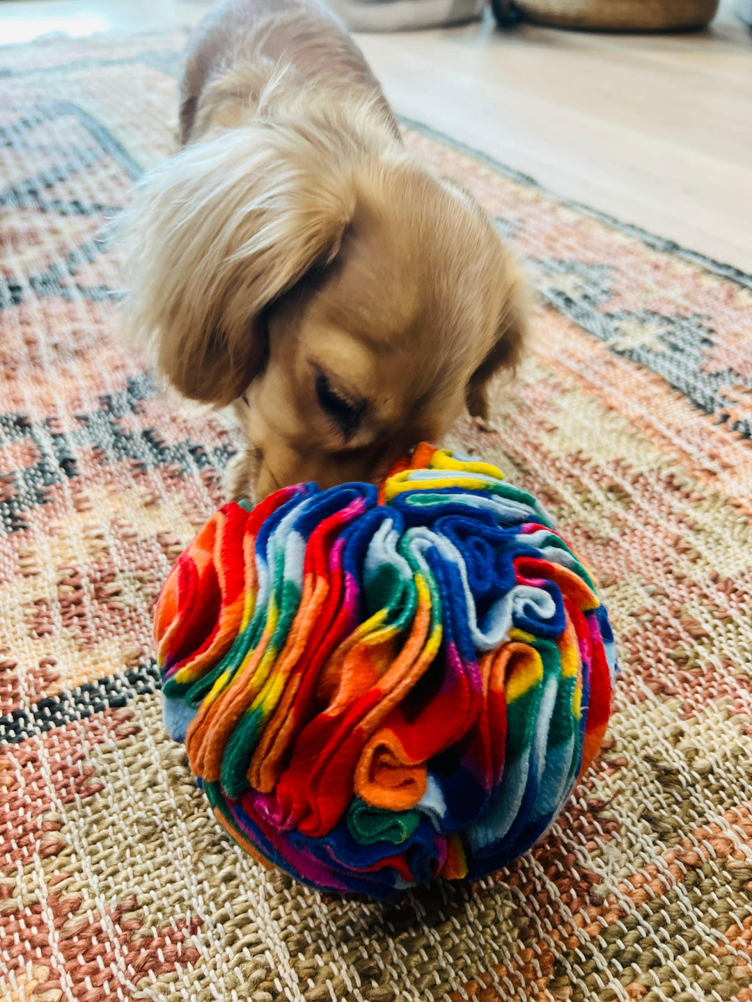 Snuffle Ball - PetBuddy