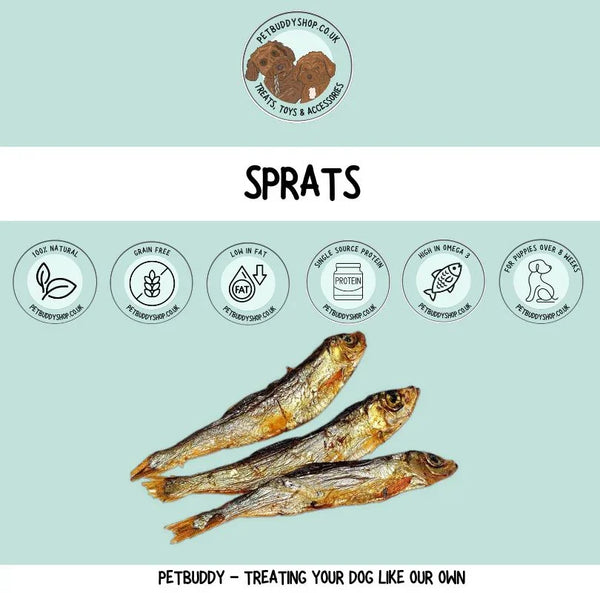 Sprats for dogs