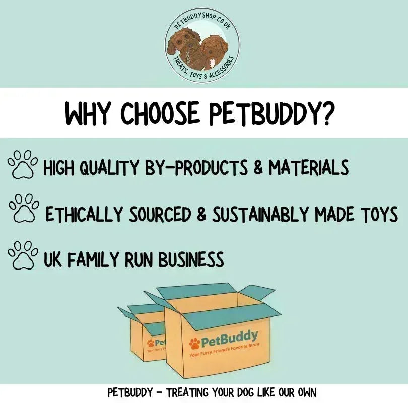 why choose PetBuddy natural dog treats and toys