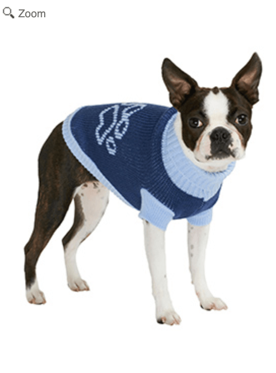 Blue Paw Sweater - PetBuddy