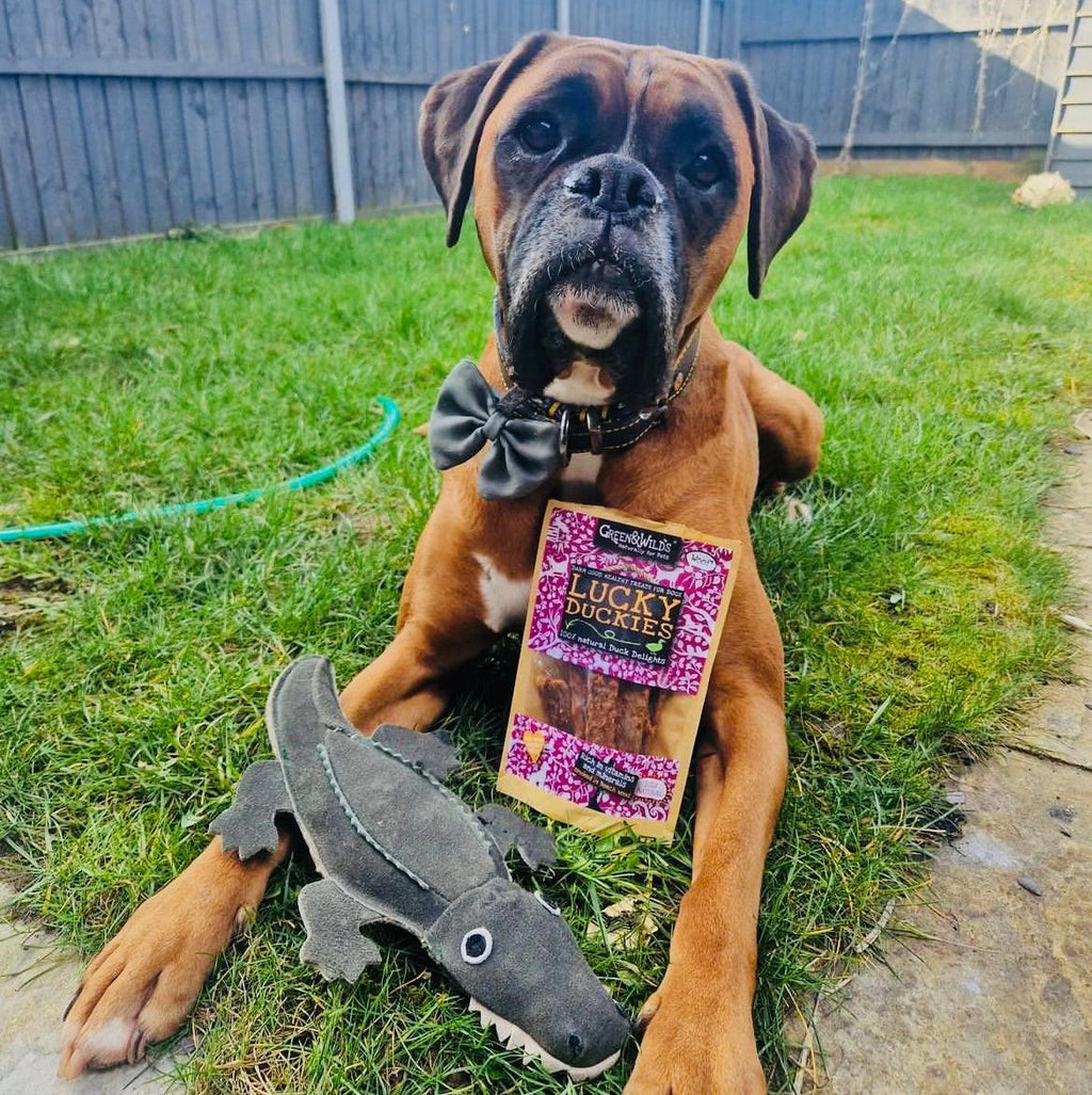 Green & Wilds Colin the Crocodile Eco Dog Toy, a great medium sized toy made from jute and suede which is perfect for playtime.