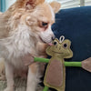 Francois le Frog Eco Dog Toy - PetBuddy