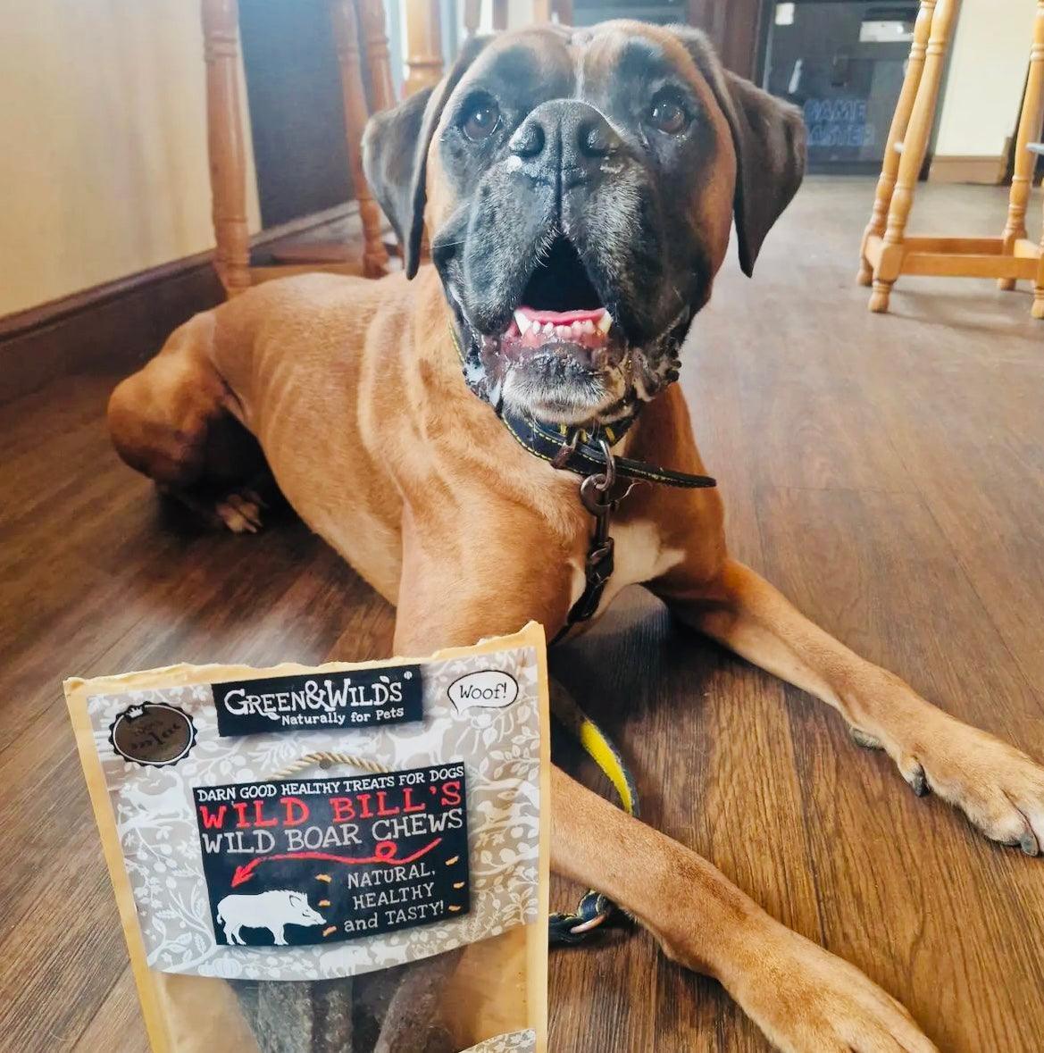 Long Lasting Dog Treats Natural Dog Treats PetBuddy
