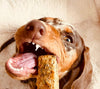 JR Pet Products Cod Skin Fingers Dog Treats - PetBuddy