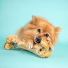 Ostrich Bone dog chew. 100% natural, air-dried ostrich bone, hypoallergenic, odourless and low fat. Perfect for teeth cleaning and available at PetBuddy.