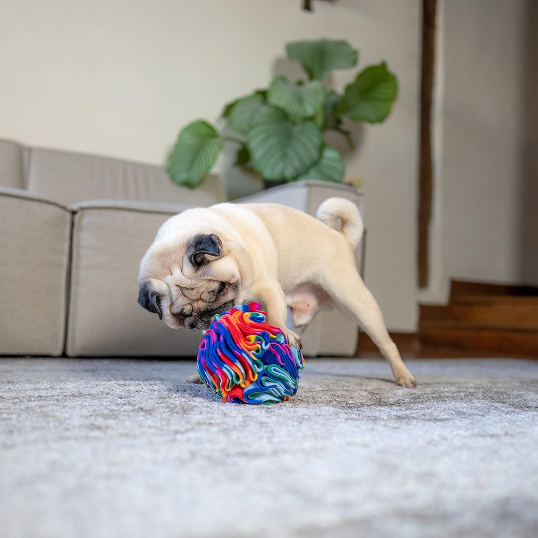 Snuffle Ball - PetBuddy