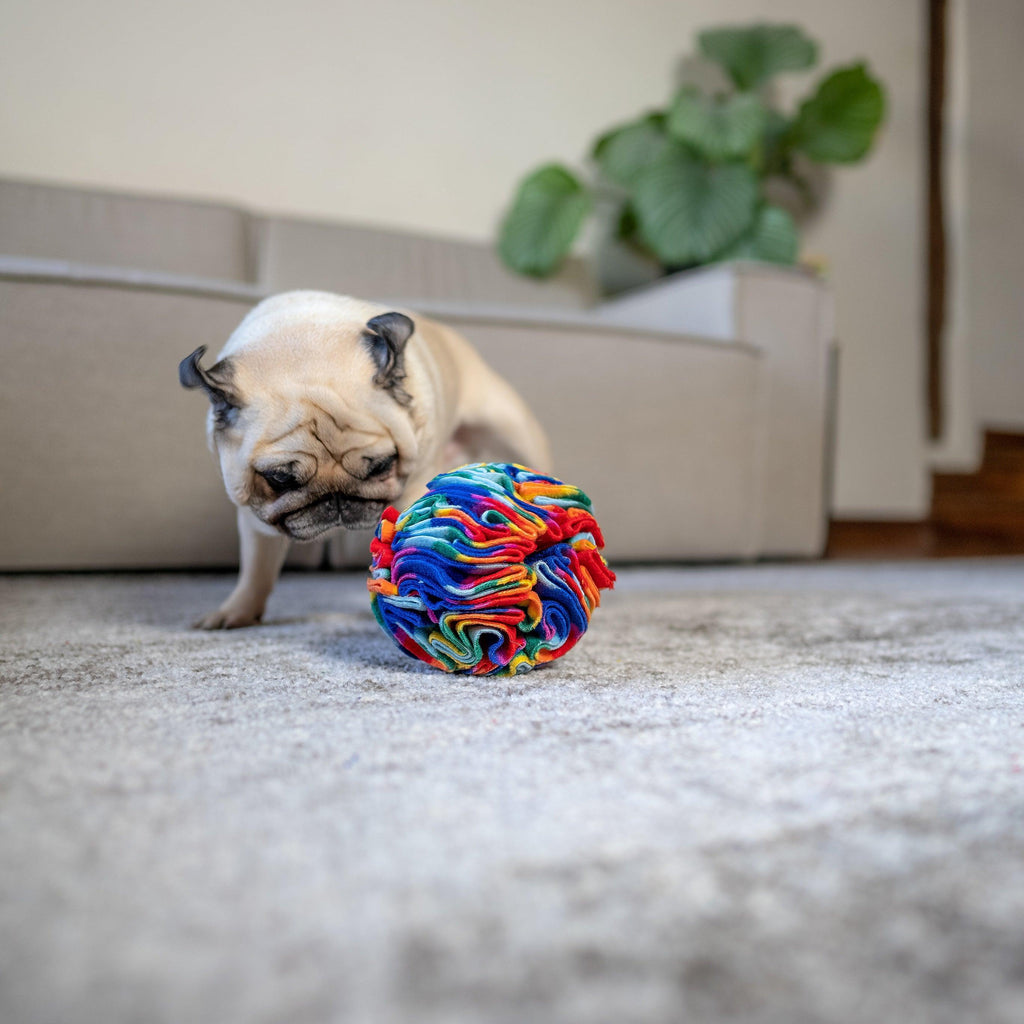 Snuffle Ball - PetBuddy
