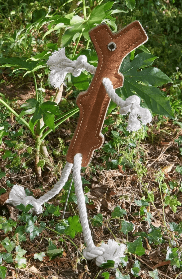 Stick Man Eco Dog Toy - PetBuddy